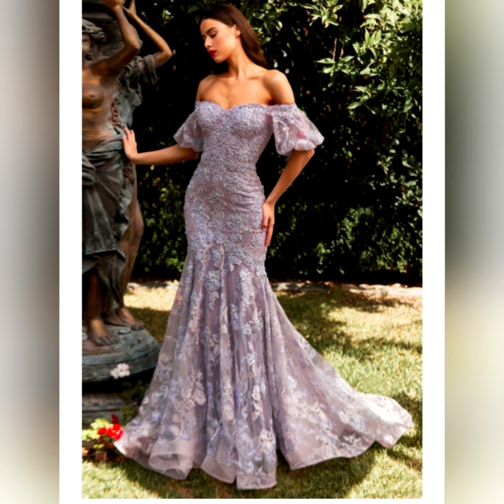 Stunning Light Violet Mermaid Lace Gown size 8